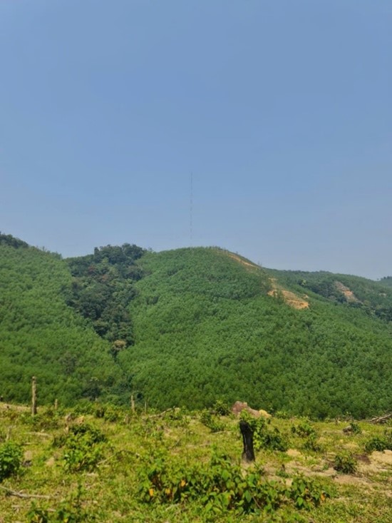 Van Canh WPP (143 MW), Vietnam